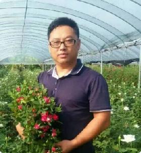 田应平