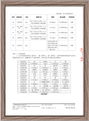 检测报告（第五页）